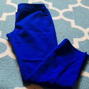 Express Columnist Ankle Dress Pants